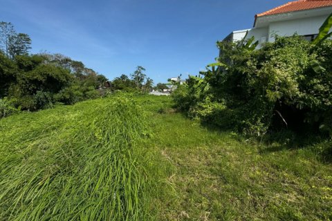 Land in Denpasar, Bali (11880) 4