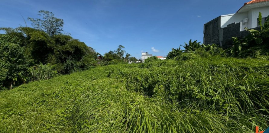 Land in Denpasar, Bali (11880)