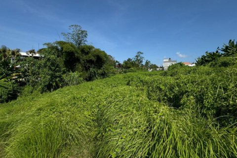 Land in Denpasar, Bali (11880) 7