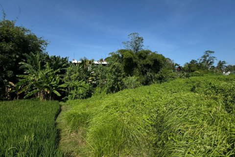 Land in Denpasar, Bali (11880) 6
