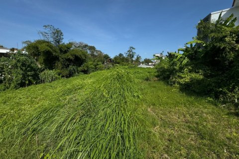 Land in Denpasar, Bali (11880) 5