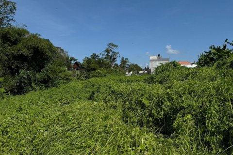 Land in Denpasar, Bali (11880) 3