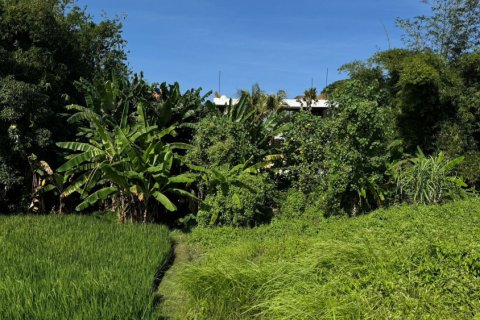 Land in Denpasar, Bali (11880) 2