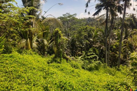 Land in Tabanan, Bali (12102) 4