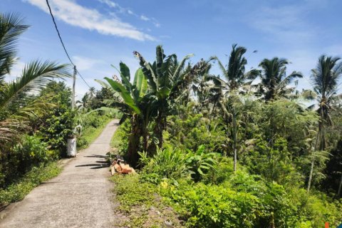 Tanah kavling di Tabanan, Bali (12102)