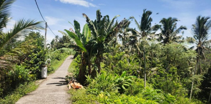 Land in Tabanan, Bali (12102)