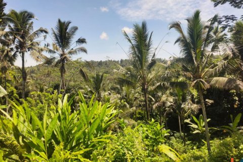Land in Tabanan, Bali (12102) 6