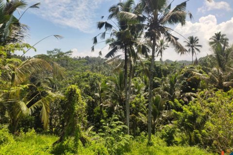Land in Tabanan, Bali (12102) 3