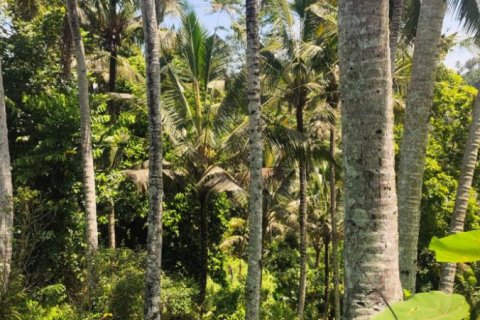 Land in Tabanan, Bali (12102) 2