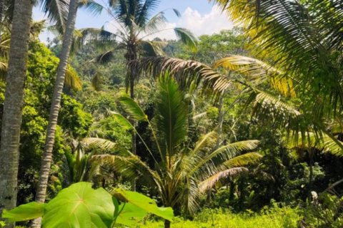 Land in Tabanan, Bali (12102) 5