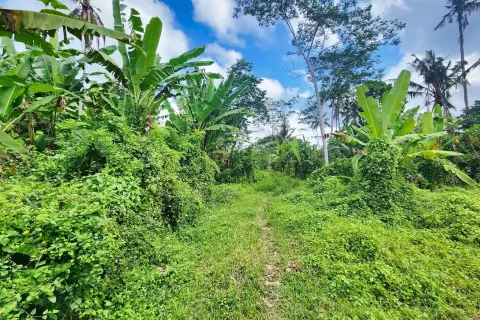 Land in Ubud, Gianyar, Bali (11497) 3