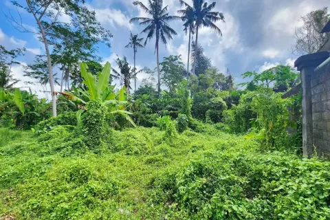 Land in Ubud, Gianyar, Bali (11497) 2