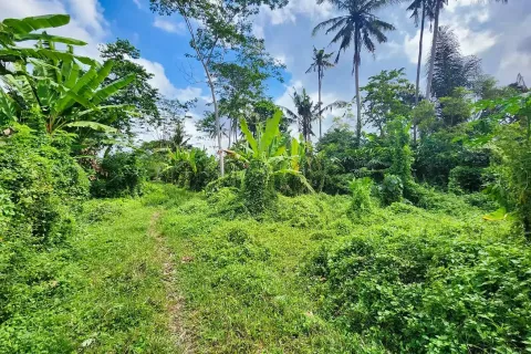 Land in Ubud, Gianyar, Bali (11497) 5