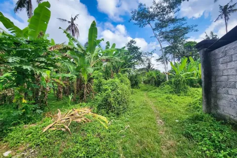 Land in Ubud, Gianyar, Bali (11497) 6