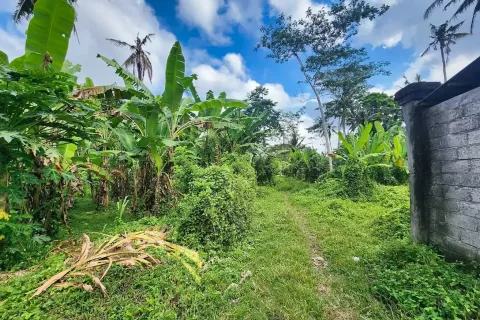 Land in Ubud, Gianyar, Bali (11497) 4