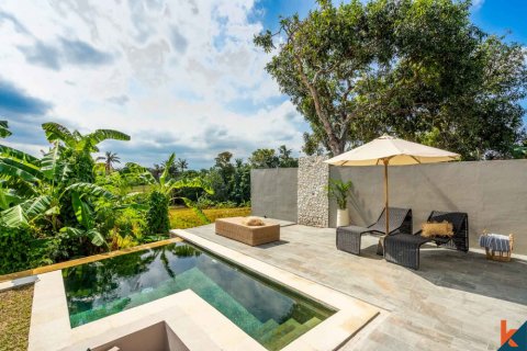 2 bedrooms Villa in Tumbak Bayuh, Mengwi, Badung, Bali (11799) 4