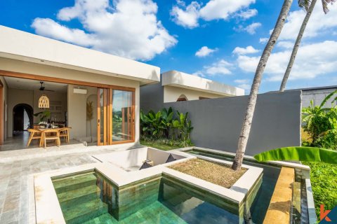 2 bedrooms Villa in Tumbak Bayuh, Mengwi, Badung, Bali (11799) 2