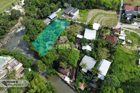 1750m2 Land in Tabanan, Bali (8435) 4