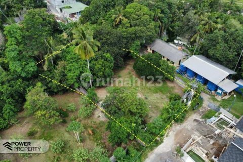 1750m2 Land in Tabanan, Bali (8435) 5