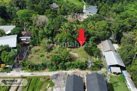 1750m2 Land in Tabanan, Bali (8435) 2