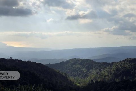 23000m2 Land in Buleleng, Bali (8438)