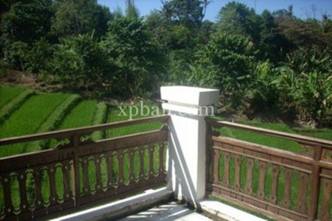 8 bedrooms Villa in Tampaksiring, Gianyar, Bali (6007) 4