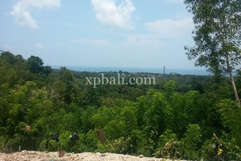 Tanah kavling 9025m2 di Kuta Selatan, Badung, Bali (6008) 5