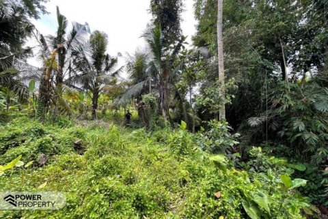 760m2 Land in Ubud, Gianyar, Bali (13969)