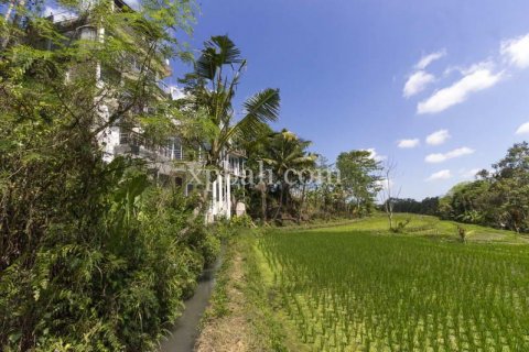 9 bedrooms Villa in Tabanan, Bali (845) 16