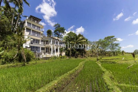 Vila 9 kamar tidur di Tabanan, Bali (845)