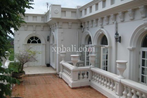 11 bedrooms Villa in Tampaksiring, Gianyar, Bali (5934) 8