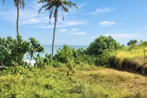 Land in Tabanan, Bali (10899) 3
