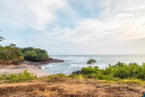 Land in Tabanan, Bali (10899) 5