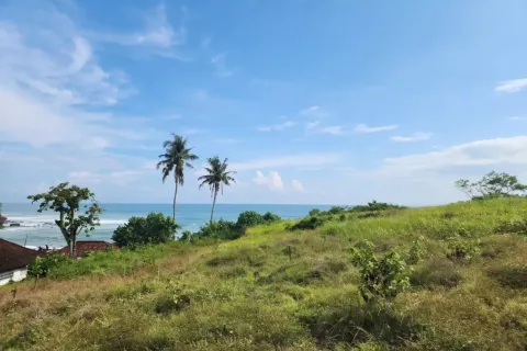 Land in Tabanan, Bali (10899) 4