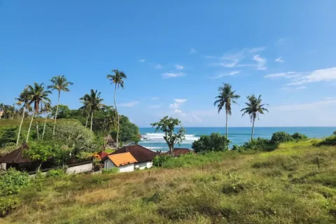 Land in Tabanan, Bali (10899) 2
