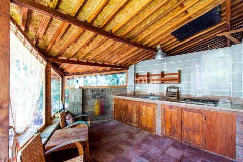 11 bedrooms Villa in Canggu, Badung, Bali (985) 15