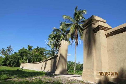 3930m2 Land in Ubud, Gianyar, Bali (981) 13