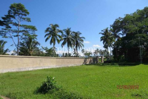 3930m2 Land in Ubud, Gianyar, Bali (981) 15