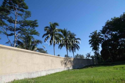 3930m2 Land in Ubud, Gianyar, Bali (981) 2