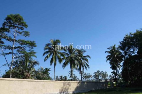 Tanah kavling 3930m2 di Ubud, Gianyar, Bali (981)