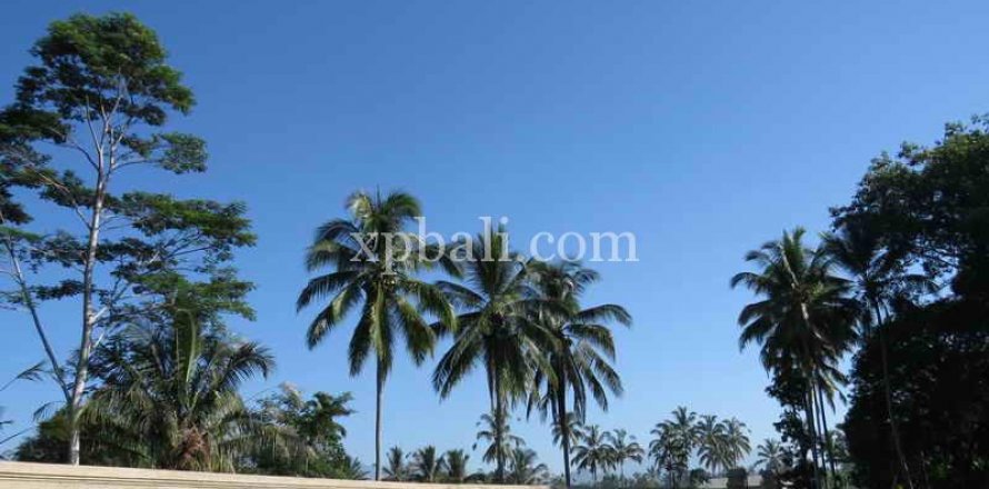 3930m2 Land in Ubud, Gianyar, Bali (981)