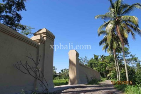 3930m2 Land in Ubud, Gianyar, Bali (981) 14