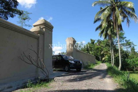 3930m2 Land in Ubud, Gianyar, Bali (981) 6