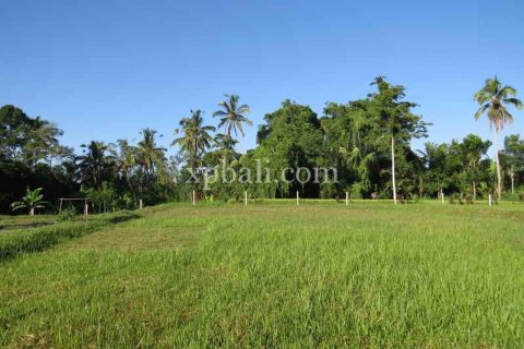 3930m2 Land in Ubud, Gianyar, Bali (981) 4