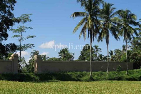 3930m2 Land in Ubud, Gianyar, Bali (981) 9