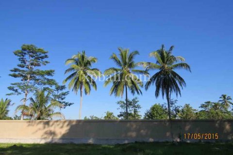 3930m2 Land in Ubud, Gianyar, Bali (981) 3