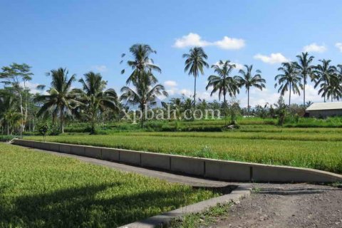 3930m2 Land in Ubud, Gianyar, Bali (981) 8