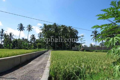 3930m2 Land in Ubud, Gianyar, Bali (981) 11