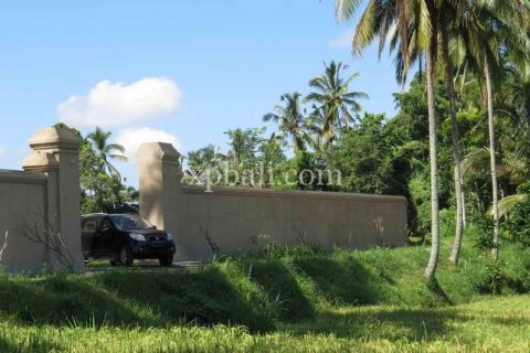 3930m2 Land in Ubud, Gianyar, Bali (981) 7