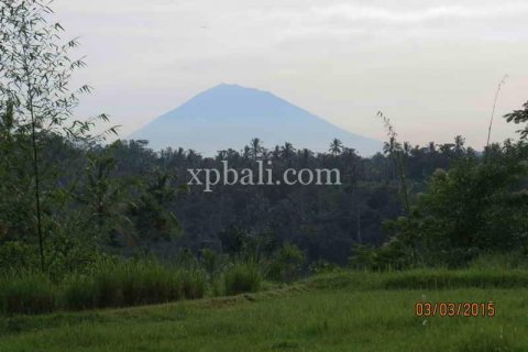 3930m2 Land in Ubud, Gianyar, Bali (981) 17